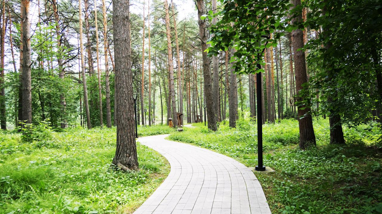 Фото Убегаем от городской суеты: сказочный отдых в эко-отеле «Лес и Река» 13